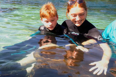 Port Stephens: Interactive Aquarium plus Little Ray Cuddle