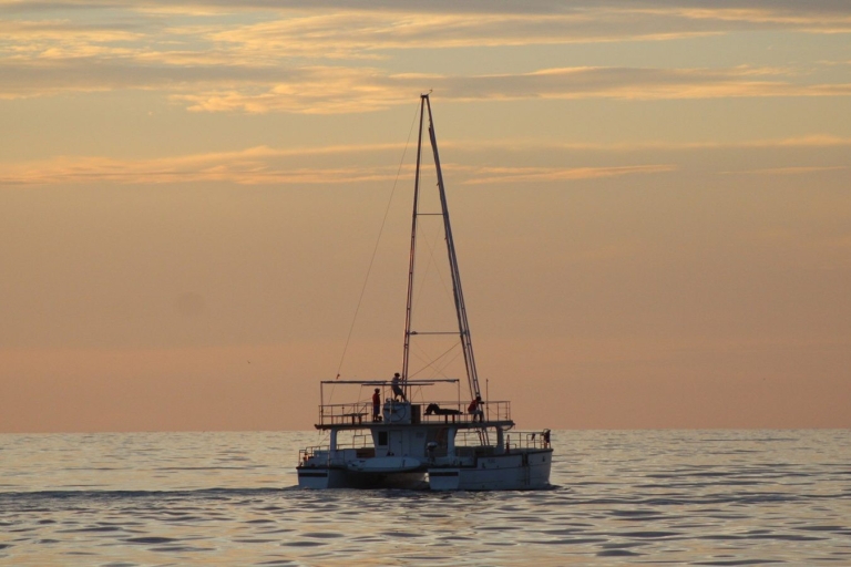 Desde Mirissa: tour privado de avistamiento de ballenas con puesta de solBucle privado de avistamiento de ballenas con puesta de sol