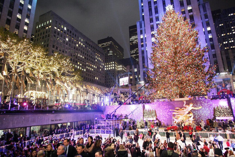 NYC: Central Park Christmas Lights Horse-Drawn Carriage Ride