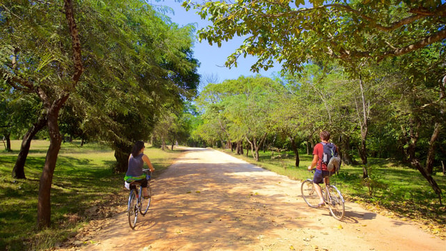 Polonnaruwa: All-inclusive fietstour met gids door de oude stad