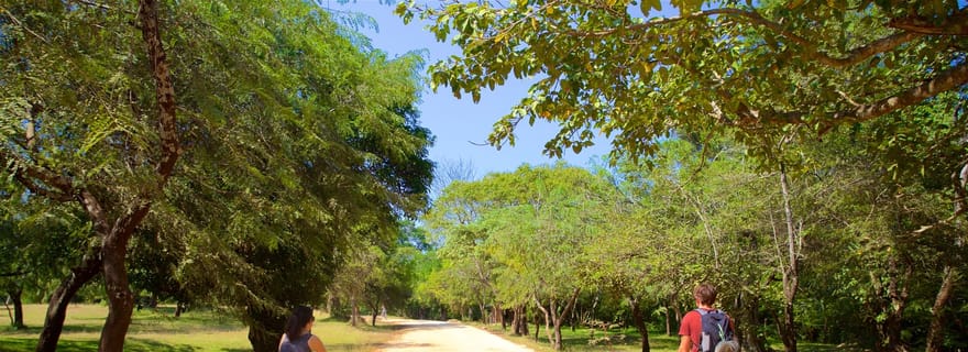 Polonnaruwa : Visite guidée à vélo de l'ancienne ville (tout compris)