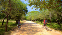 Polonnaruwa, Ancient City Guided Cycling Tour - Housity