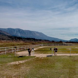 From Dubrovnik: Horseback Riding Day Tour in Konavle Valley