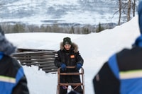 De Tromsø, aventure de traîneau de chien amusant et facile - Hizvo