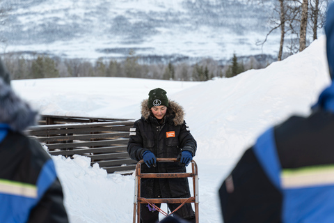 From Tromsø: Fun and Easy Dog Sledding Adventure Dogsledding Tour - 11:50AM