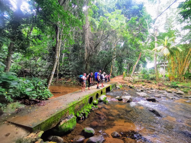 Visit Ilha Grande Private Hiking with Forest, Beaches & Waterfall in Ilha Grande