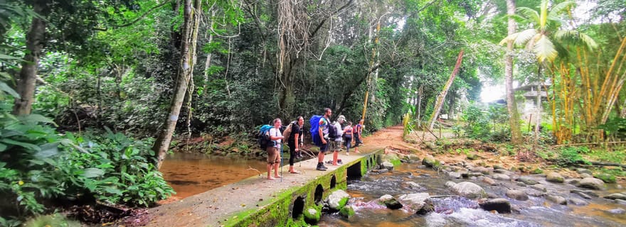 Ilha Grande : Randonnée privée avec forêt, plages et chutes d'eau