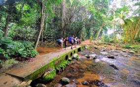 Ilha Grande: Private Hiking with Forest, Beaches & Waterfall