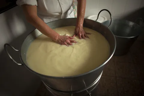 Tour della produzione e degustazione del formaggio con pranzo da Cagliari
