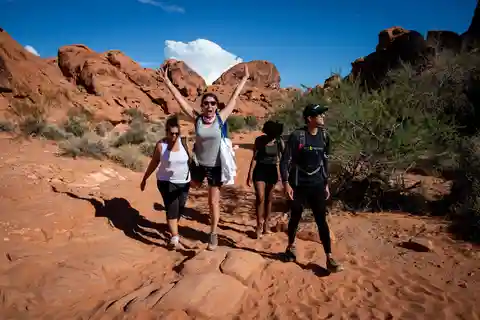 Valley of Fire Guided Hiking Tour & Mojave Desert Adventure
