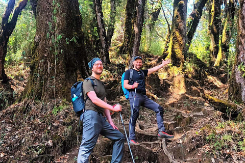 Sandakphu Singalila Ridge Trek - 6 dias