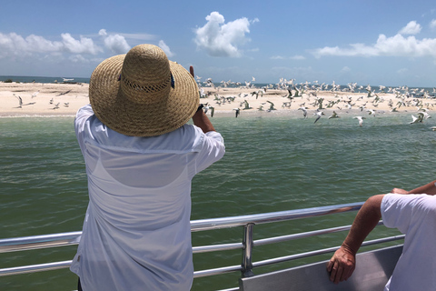 Marco Island: 10,000 Islands 3.5-hr Shelling & Dolphin Tour