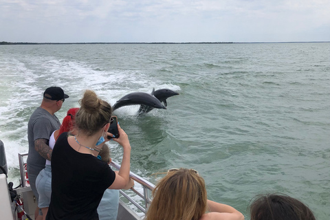 Marco Island: 10,000 Islands 3.5-hr Shelling & Dolphin Tour
