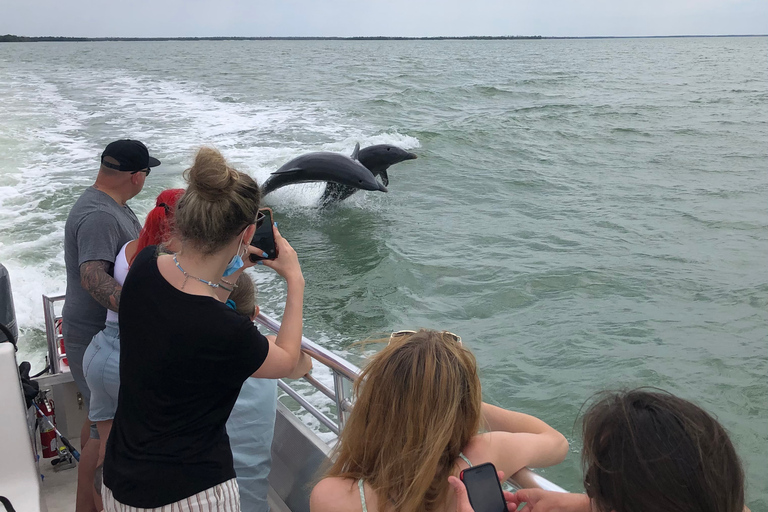 Marco Island: 10,000 Islands 3.5-hr Shelling & Dolphin Tour