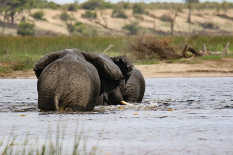 Zanzibar: 2 Days Fly-in Safari to Nyerere N.P & Boat Safari