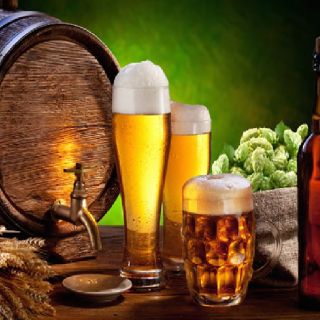 5-Hour Poznan City and Brewery Tour