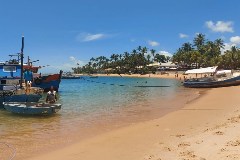 Ab Salvador: Tagesausflug zum Strand Praia do Forte & Guarajuba