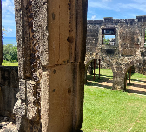 Culture & history