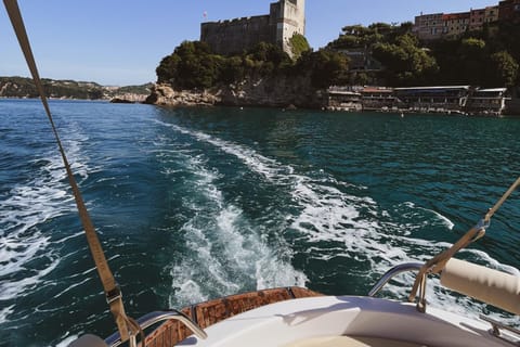 Portovenere: Lerici Boat Tour with Aperitif on board
