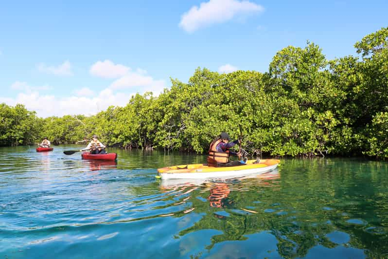 go kayak cancun