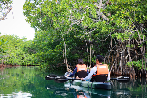 Cancun: avventura mattutina in kayakCancun: avventura in kayak all&#039;alba