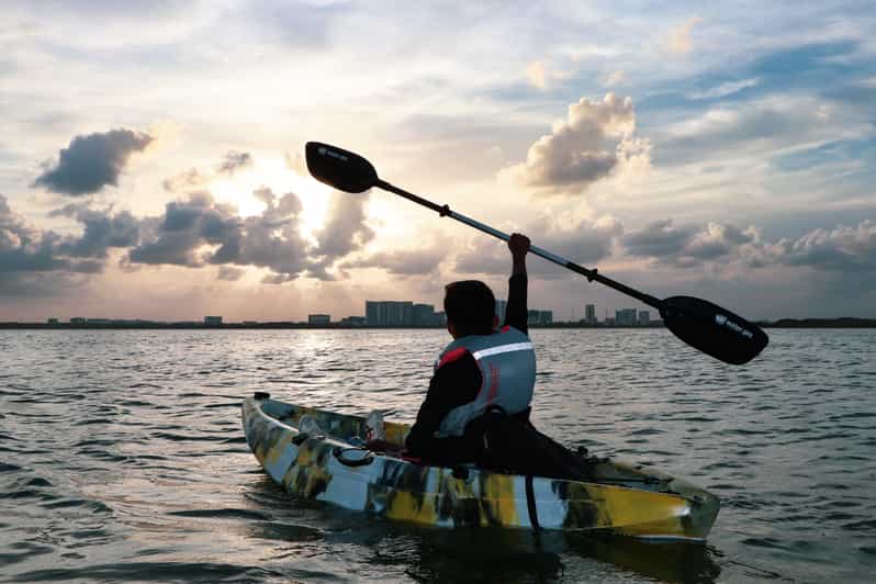 Cancun Sunrise Kayak Adventure GetYourGuide