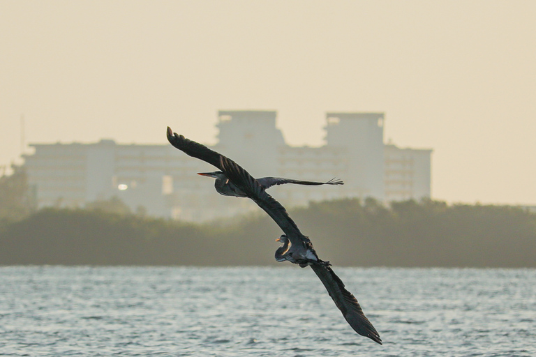 Cancun: Morning Kayak AdventureCancun: Sunrise Kayak Adventure