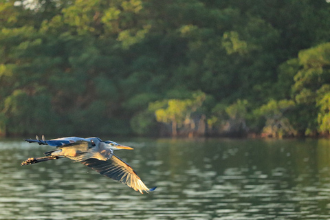 Cancun: Sunrise Kayak Adventure