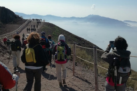 De Naples: excursion d'une journée à Pompéi et au VésuveEXCURSION D'UNE JOURNÉE À POMPÉI ET AU VÉSUVE