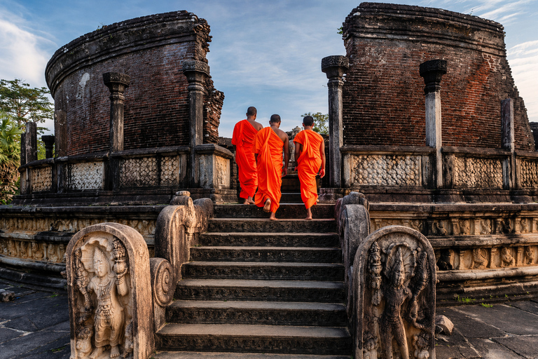 Sigiriya: Polonnaruwa City Tour & Ethical Minneriya Safari Sigiriya: Polonnaruwa Heritage Tour & Elephant Safari