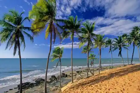 De Fortaleza: Viagem de 1 dia para a Praia da Lagoinha