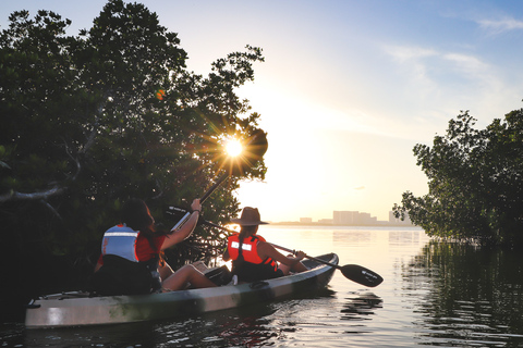 Cancún : expérience de kayak au coucher du soleil dans les mangroves