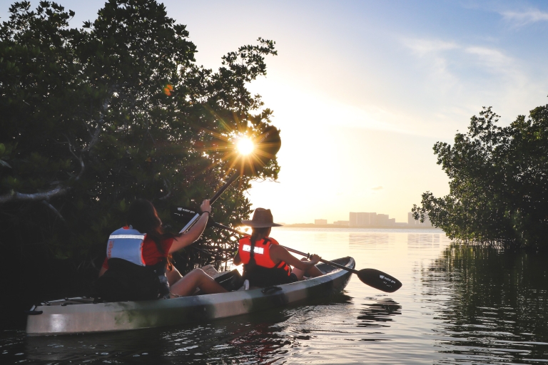 Cancún: experiencia de kayak al atardecer en los manglares