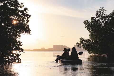 Cancun: esperienza di kayak al tramonto nelle mangrovie