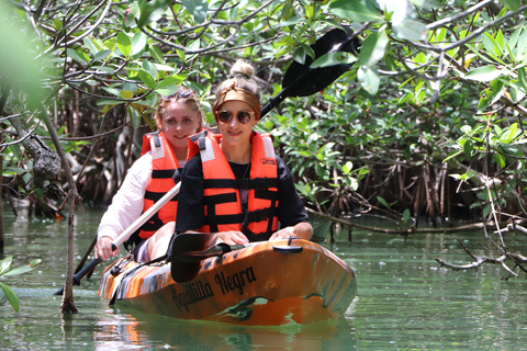 Cancún: experiencia de kayak al atardecer en los manglares