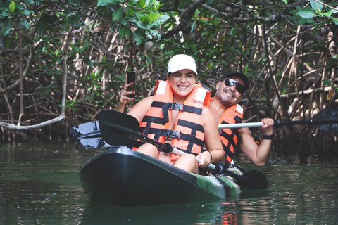 Cancun: esperienza di kayak al tramonto nelle mangrovie