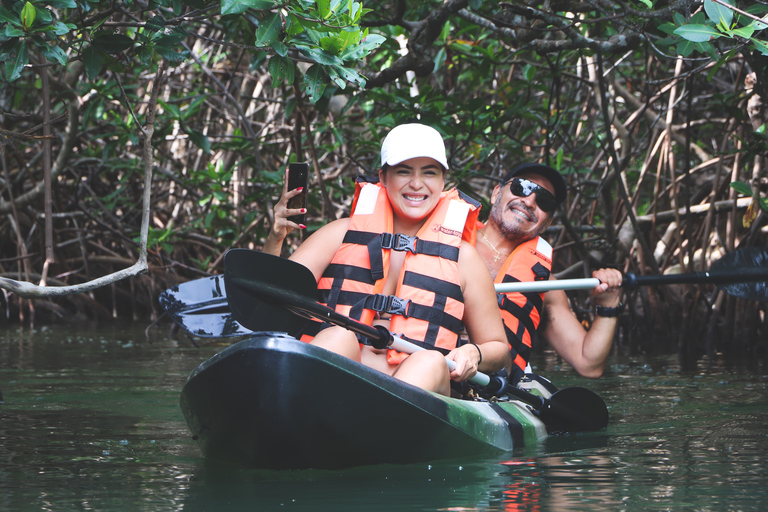 Cancún : expérience de kayak au coucher du soleil dans les mangroves