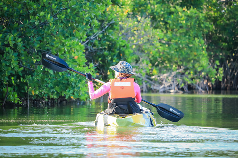 Cancun: Sunset Kayak Experience in the Mangroves