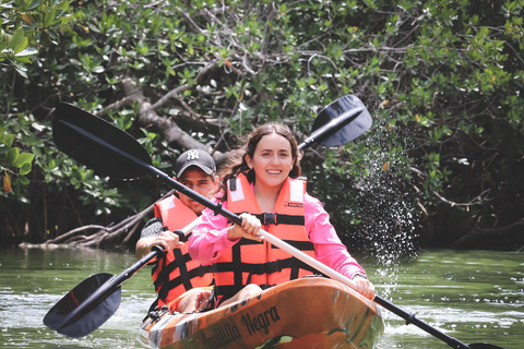 Cancún : expérience de kayak au coucher du soleil dans les mangroves