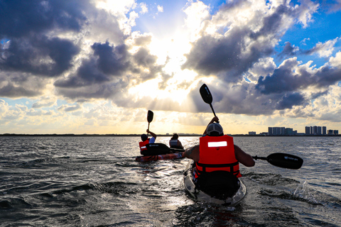 Cancun: esperienza di kayak al tramonto nelle mangrovie