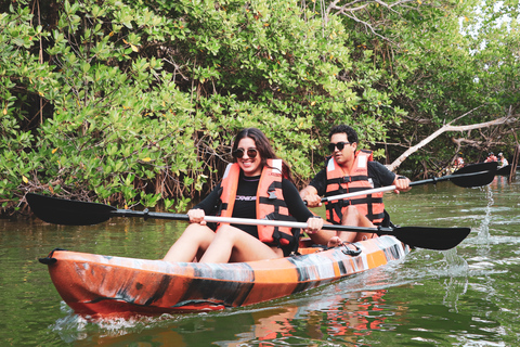 Cancún: experiencia de kayak al atardecer en los manglares