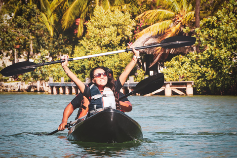 Cancún : expérience de kayak au coucher du soleil dans les mangroves