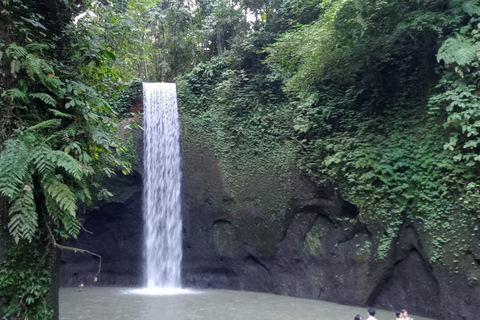 Bali Bathing Holy Spring Water or Purification