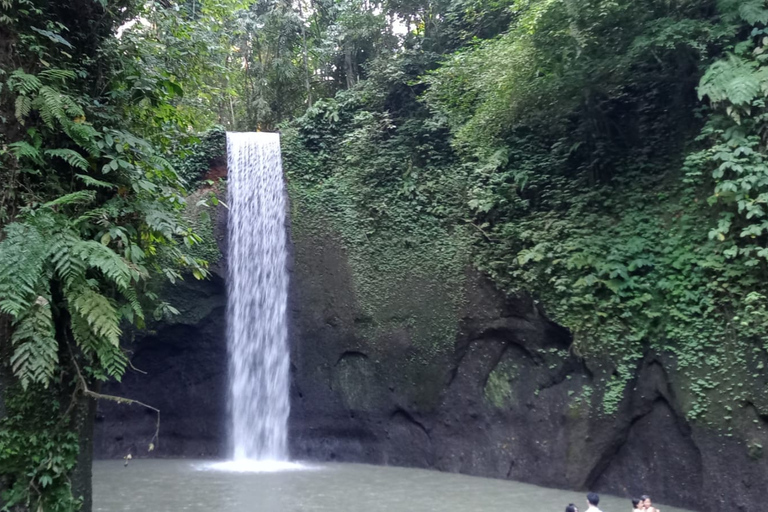 Bali Bathing Holy Spring Water or Purification