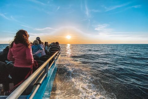 Portimão: Golfinhos, Cruzeiro Grutas de Benagil & Pôr do sol