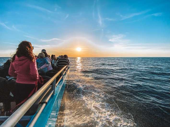 Portimão: Golfinhos, Cruzeiro Grutas de Benagil & Pôr do sol