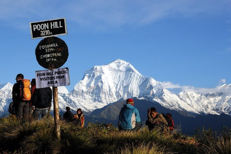 Pokhara: 4-dagars vandring i bergen Ghorepani, Poonhill och GhandrukPrivat resa med måltider inkluderade