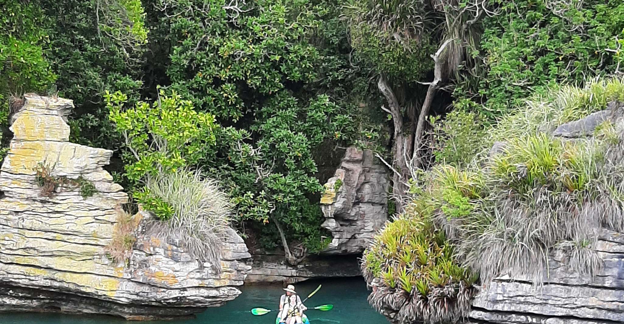 Raglan, Nature Cruise of Raglan Harbour - Housity