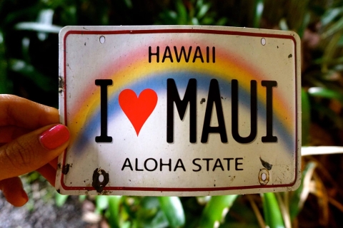 Maui: Private Road to Hana Full Loop RondleidingTour met ontmoetingspunt