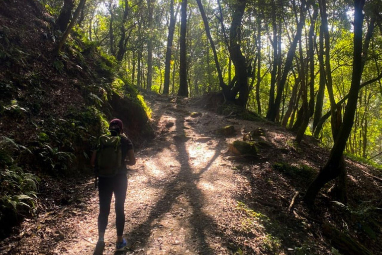 Kathmandu: Dagwandeling met ontbijt en lunch